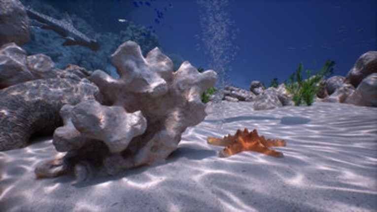 Simple-Realistic Underwater (2D DEMO) Image