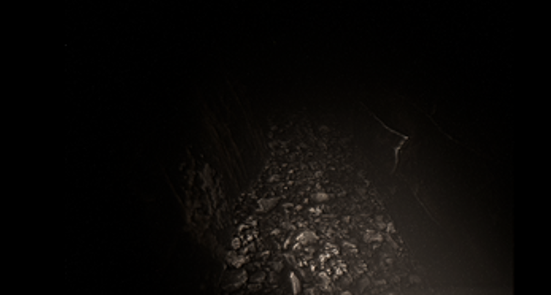 Wrong Turn Image