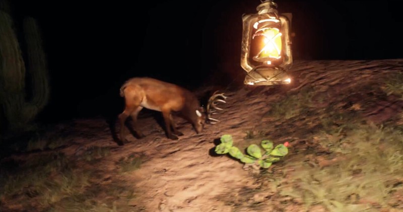 The Curse of Town screenshot