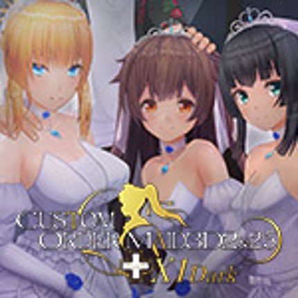 Custom Order Maid 3D2.5+X1 Dark Image