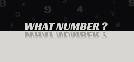 Games like WHAT NUMBER?