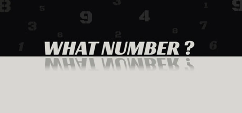 WHAT NUMBER? Image