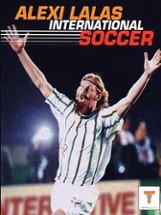 Alexi Lalas International Soccer Image