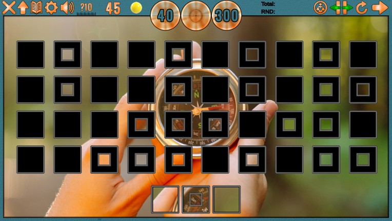 Clutter 19: Survey Says What? - Collector's Edition screenshot