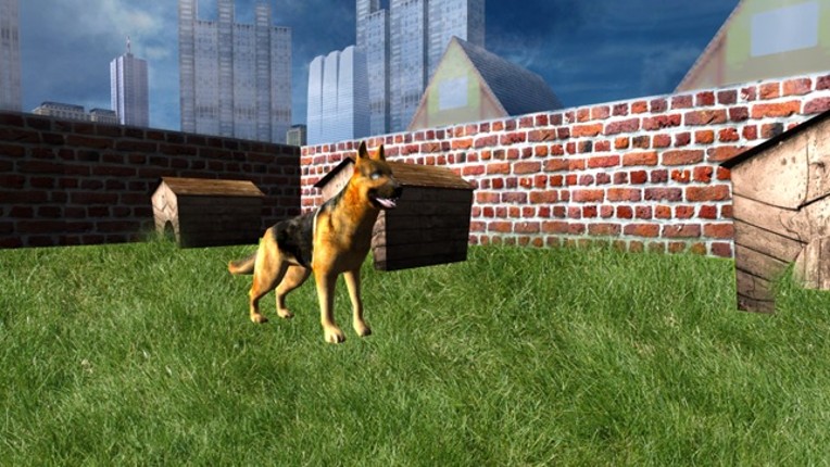 Crazy Horse Animal Transport - Deliver Horse & Dog In Transporter Truck screenshot