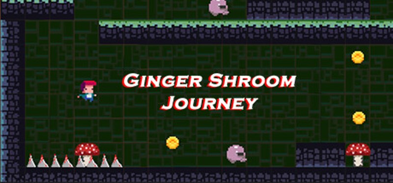 Ginger Shroom Journey Image