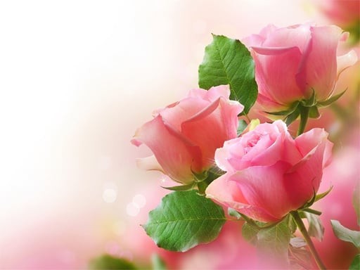 Games like Pink Roses Puzzle