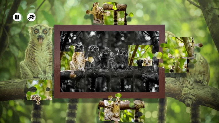 Puzzles: Monkey screenshot