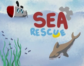 Sea Rescue Image