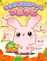 Tsubu-rabi! - The free cute rabbit collection game Image