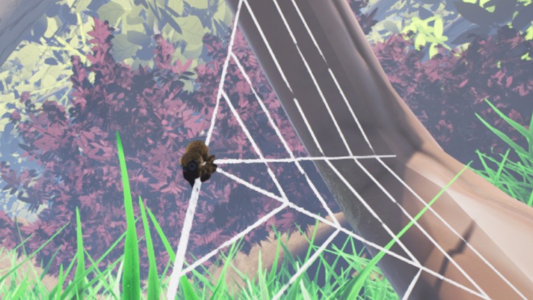 Weave & Wander Image