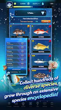 World Fishing Image