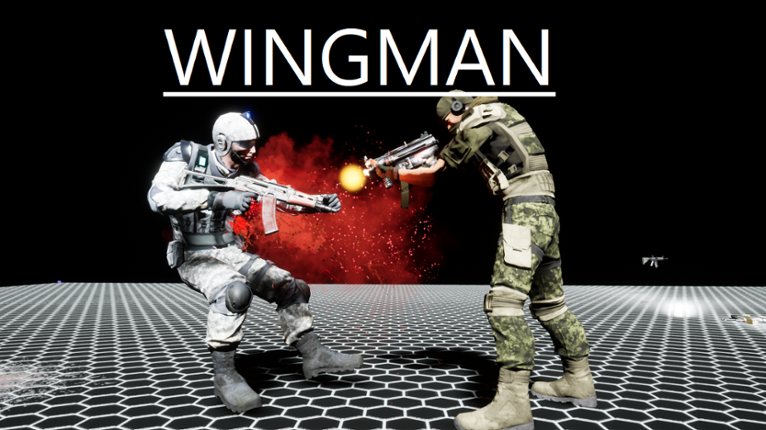 WINGMAN Image