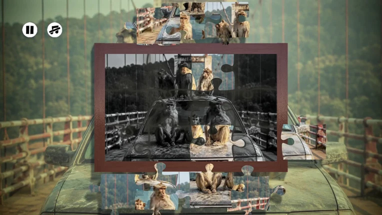 Puzzles: Monkey Image