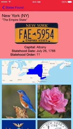 States Plates Challenge Image