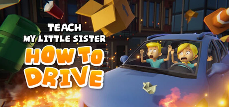 Teach My Little Sister How To Drive Image