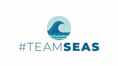 #TeamSeas Image