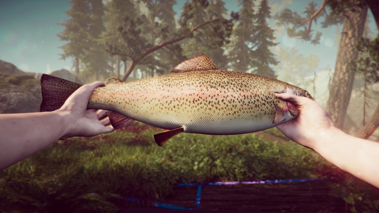 The Forest Cathedral screenshot