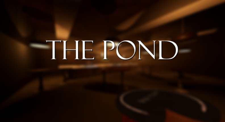 The Pond Game Cover