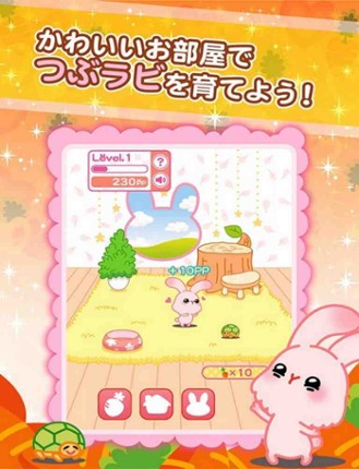 Tsubu-rabi! - The free cute rabbit collection game screenshot