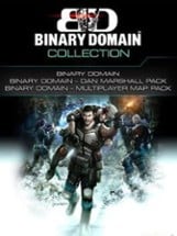 Binary Domain Collection Image