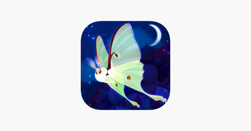 Flutter: Starlight Image