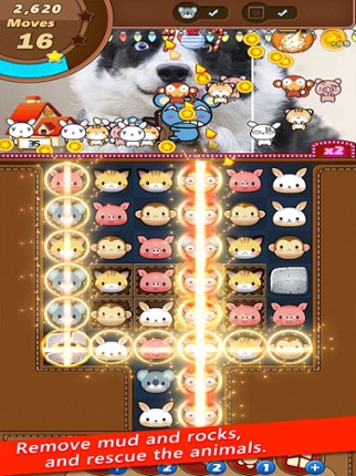 Puzzle Hot Animal &amp; Fish Image
