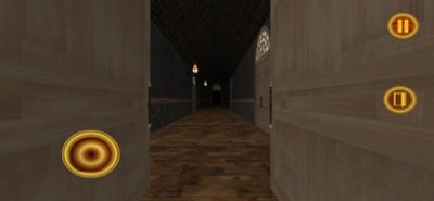 Vampire Night Adventure 3D Image