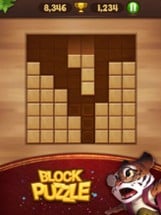 Block Puzzle Wood Image