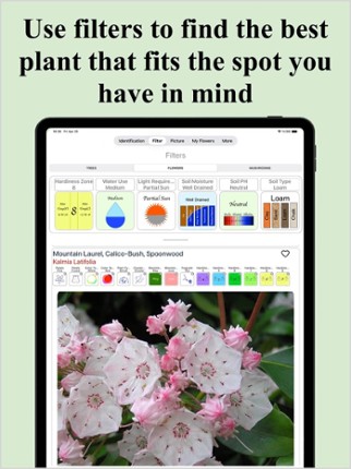 Forest Plant Identification screenshot