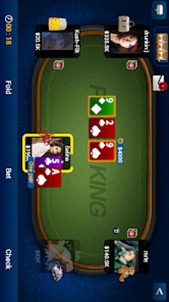Texas Holdem Poker Pro Image