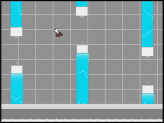 FlappyTurd Image