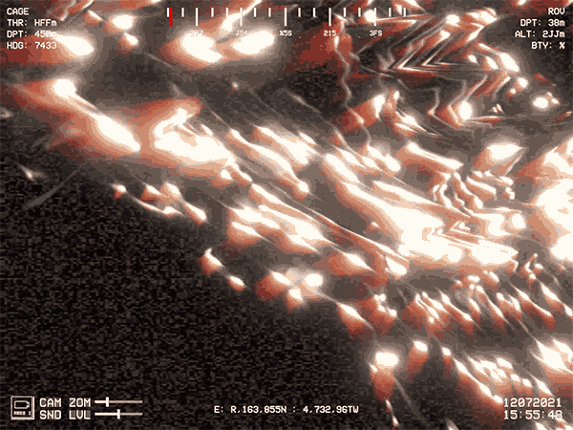 NODOMUS screenshot