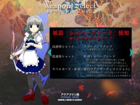 Touhou Kishinjou: Double Dealing Character Image