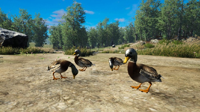 Bird Game 3 Online Image