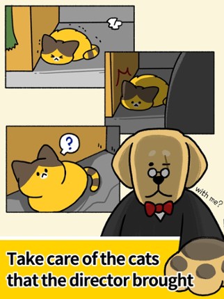 Cat Kindergarten Image