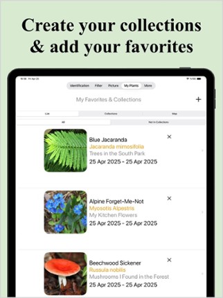 Forest Plant Identification screenshot