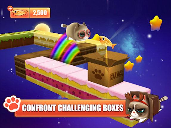 Kitty in the Box screenshot