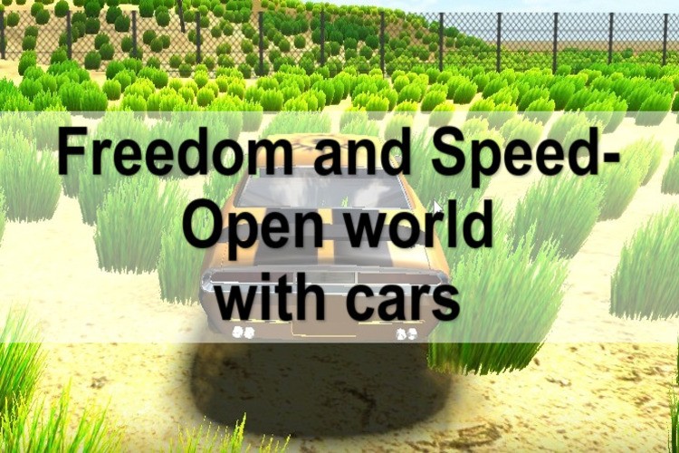 Games like Freedom and Speed