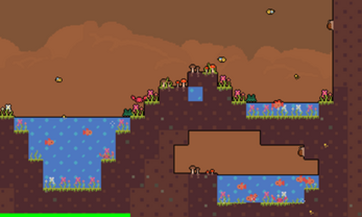 Vivaria Image