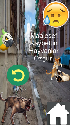 Hayvanları Kafese Tık Image