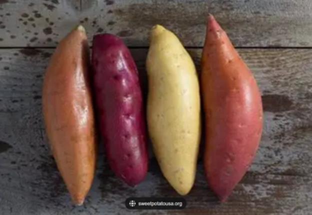 Museum of Sweet Potatoes screenshot