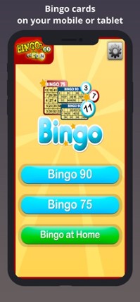 Bingo Cards by Bingo at Home Image