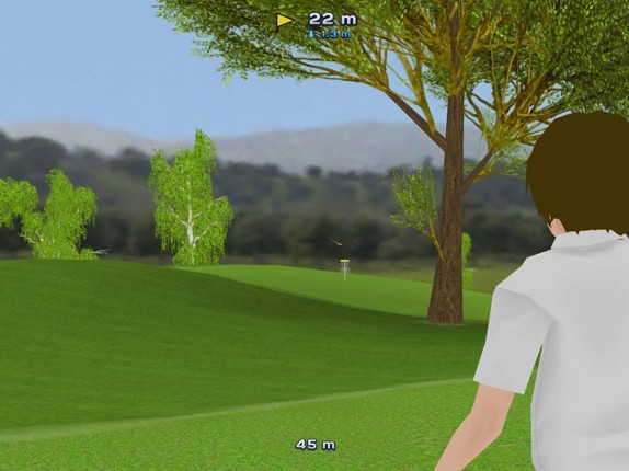 Disc Golf Game Image
