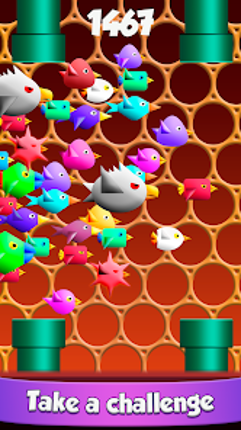 Cool Birds Fun Smash for Kids screenshot