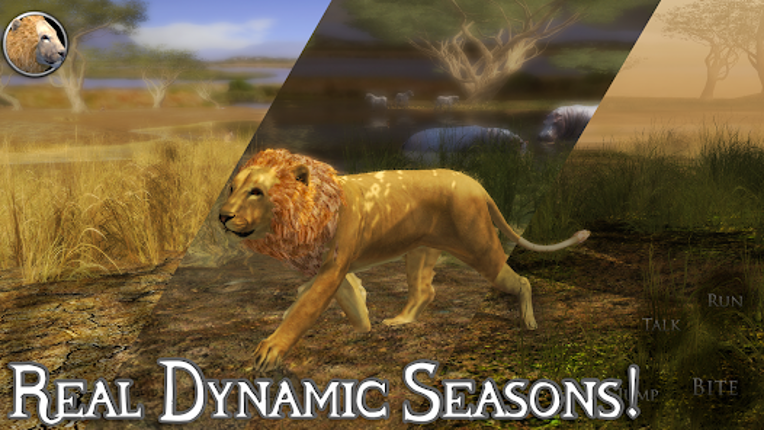 Ultimate Lion Simulator 2 Image