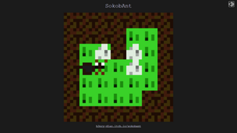 SokobAnt Image