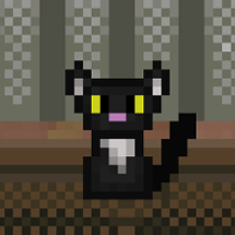 velta the cat beta Image