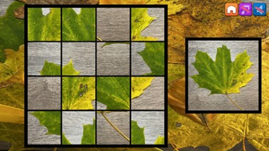 OG Puzzlers: Fall 2K23 Image