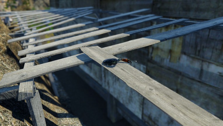 Strong Crab screenshot